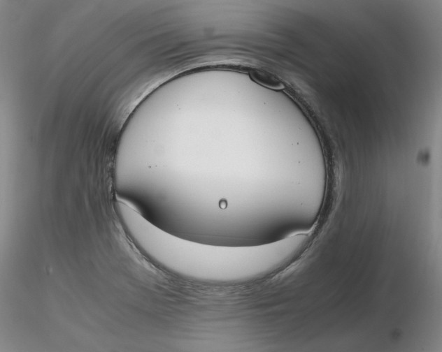 X0000116271369200912211749