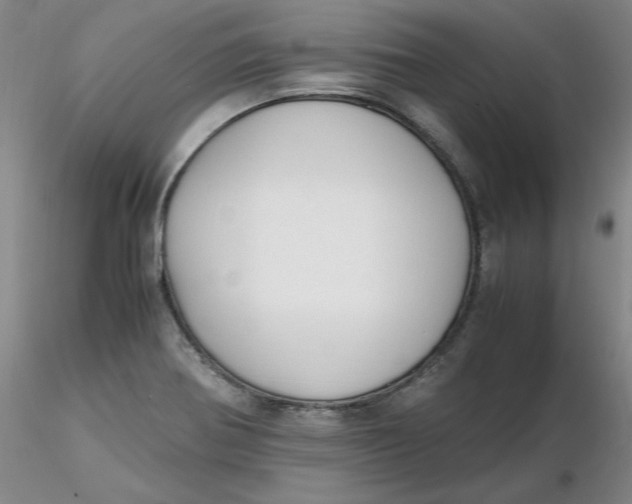 X0000116271370200912211749