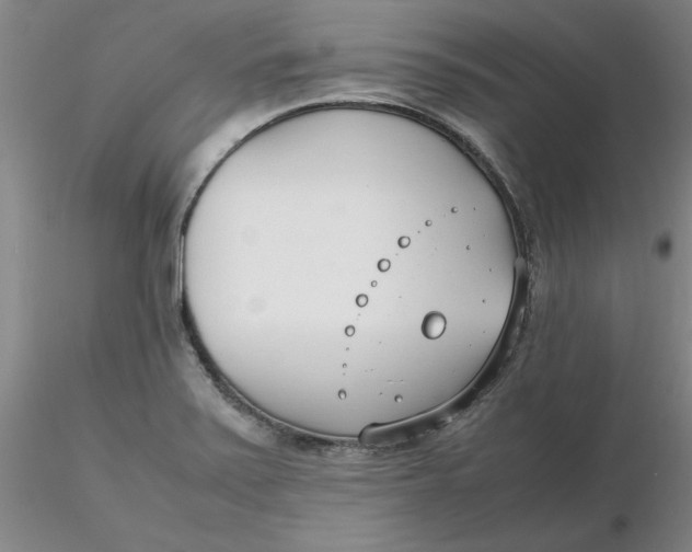 X0000116271371200912211749