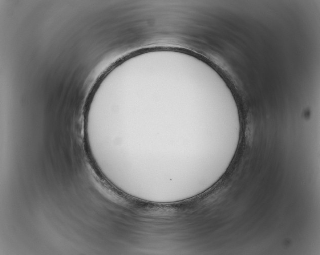 X0000116271372200912211749