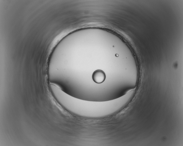 X0000116271373200912211749