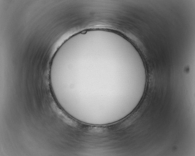 X0000116271374200912211749