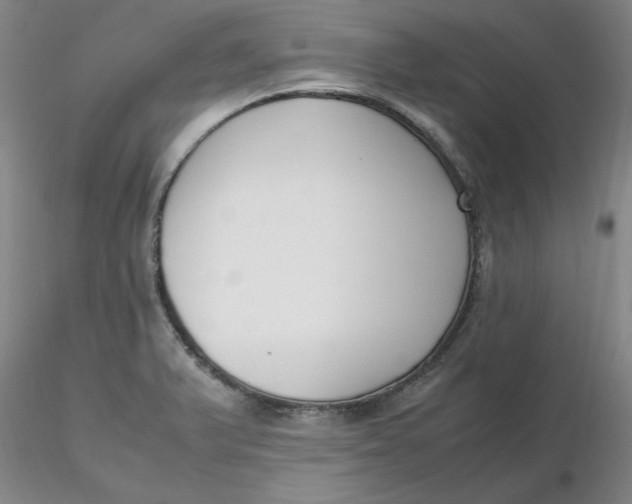 X0000116271375200912211749