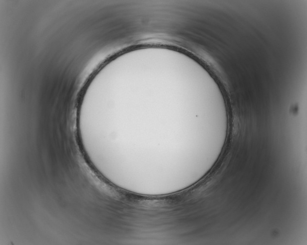 X0000116271376200912211749