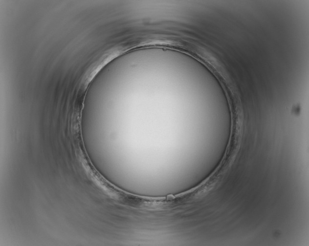 X0000116271377200912211749