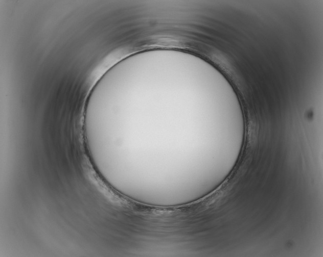 X0000116271378200912211749