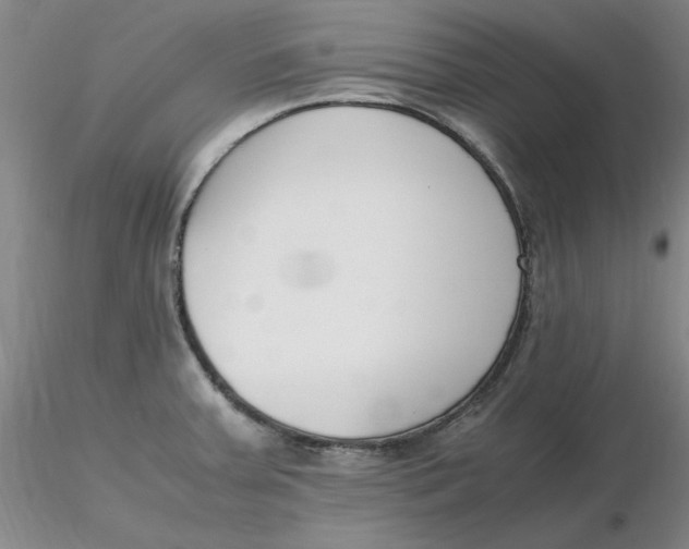 X0000116271379200912211749
