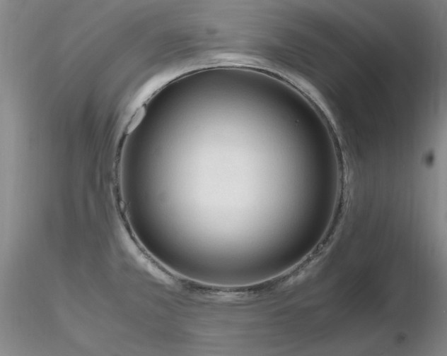 X0000116271381200912211749