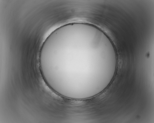 X0000116271382200912211749