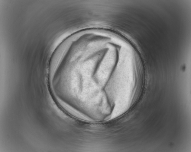 X0000116271383200912211748