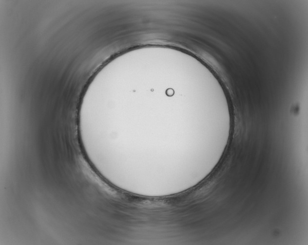 X0000116271384200912211748