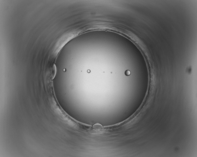 X0000116271385200912211748