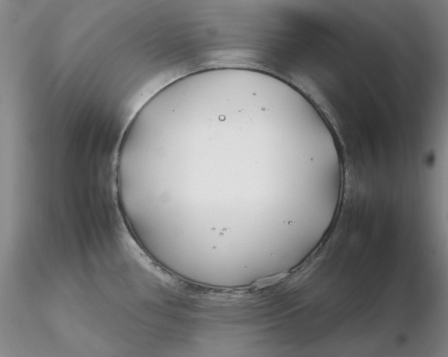 X0000116271386200912211748