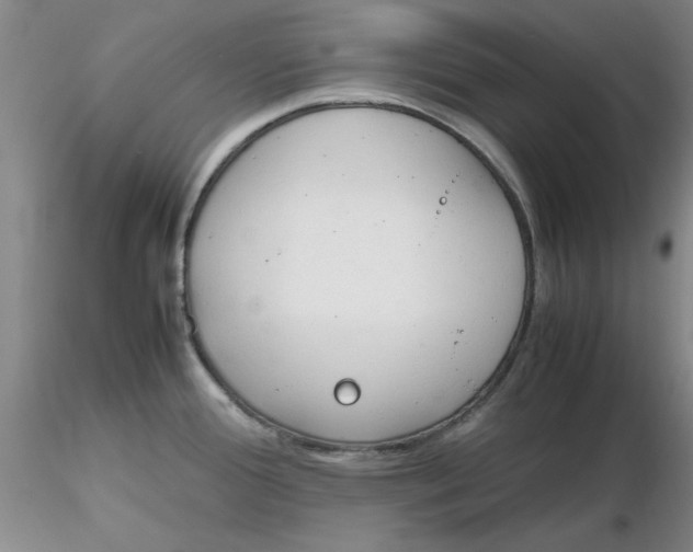 X0000116271388200912211748