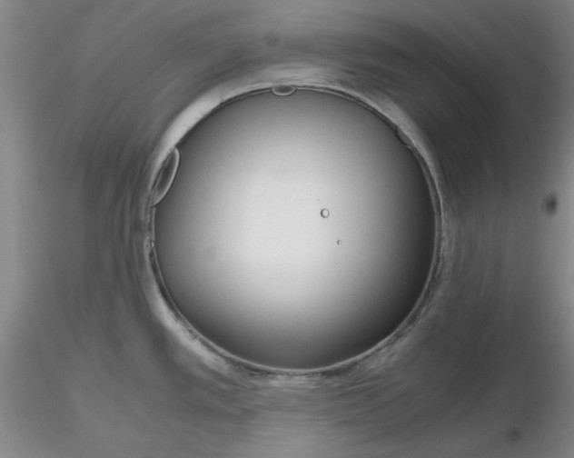 X0000116271389200912211748