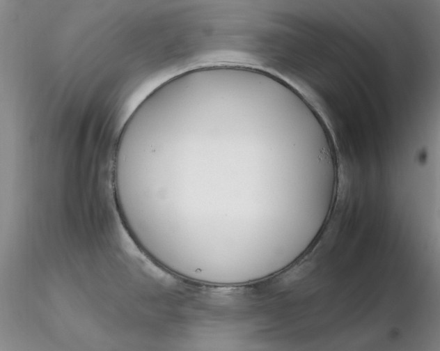 X0000116271390200912211748