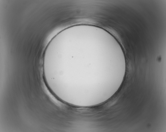 X0000116271391200912211748