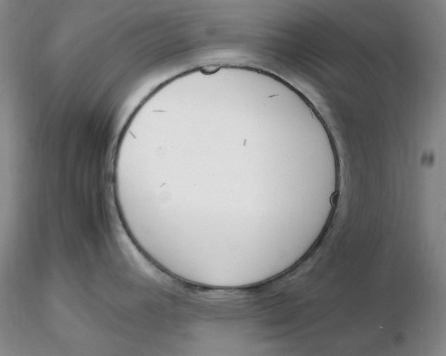 X0000116271392200912211748
