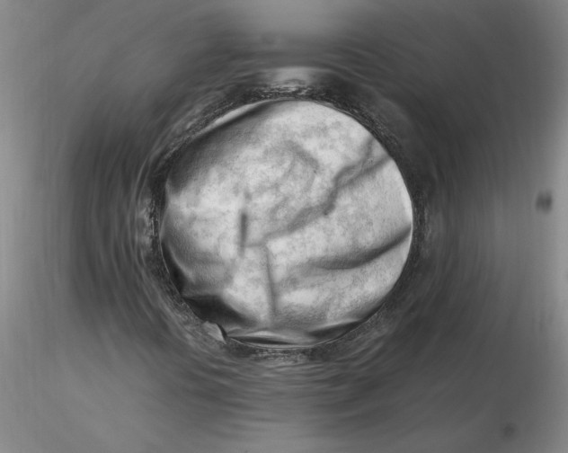 X0000116271394200912211748