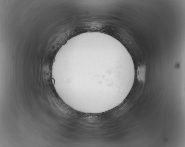 X0000116271395200912211748
