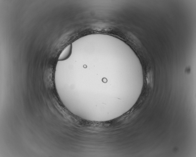 X0000116271396200912211748