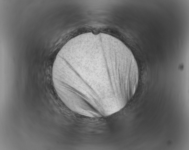 X0000116271397200912211748