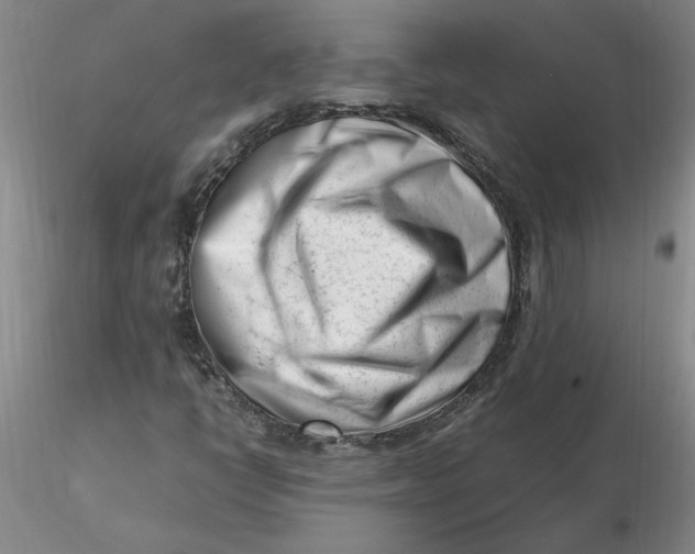 X0000116271398200912211748