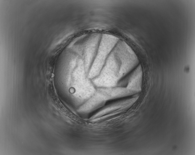 X0000116271399200912211748