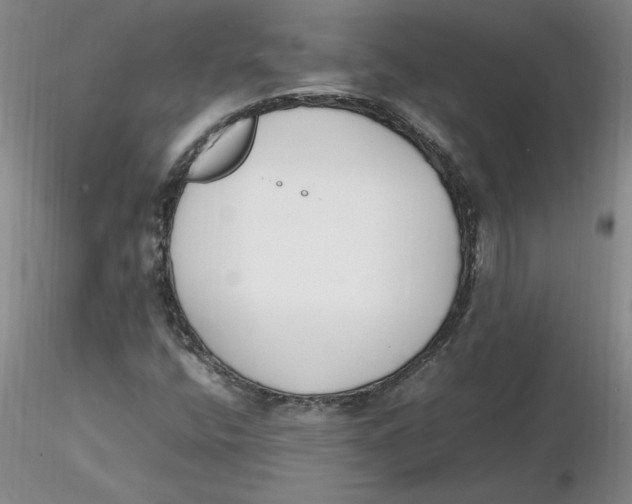 X0000116271400200912211748