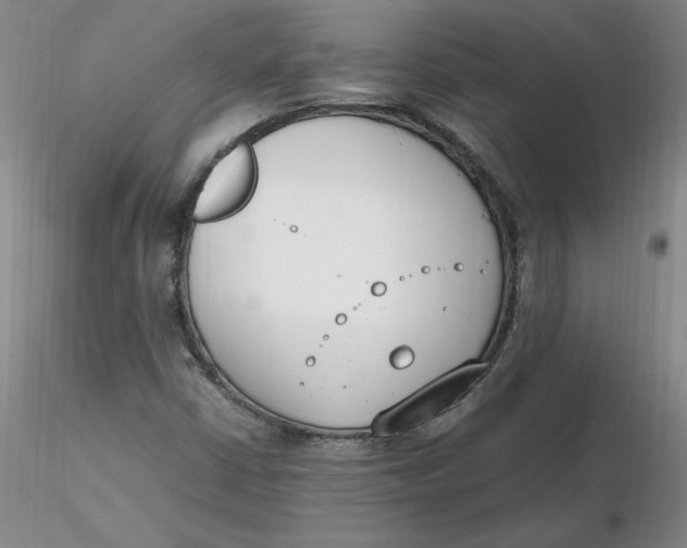 X0000116271402200912211748