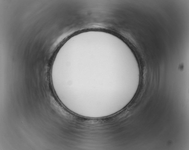 X0000116271404200912211748