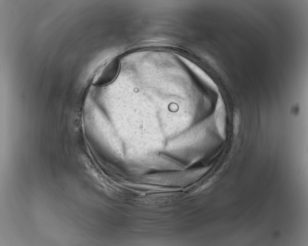 X0000116271405200912211748
