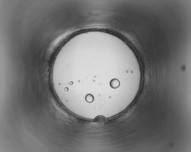 X0000116271406200912211748