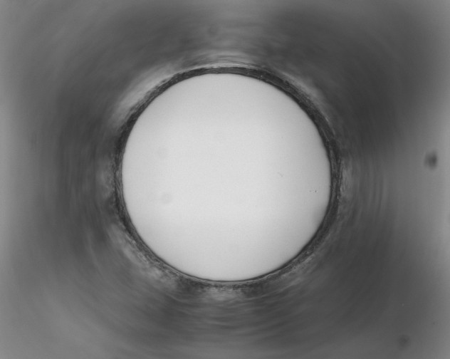 X0000116271407200912211748