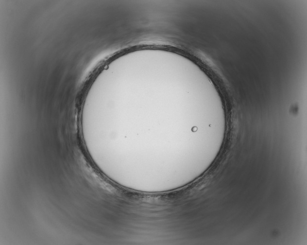 X0000116271408200912211748