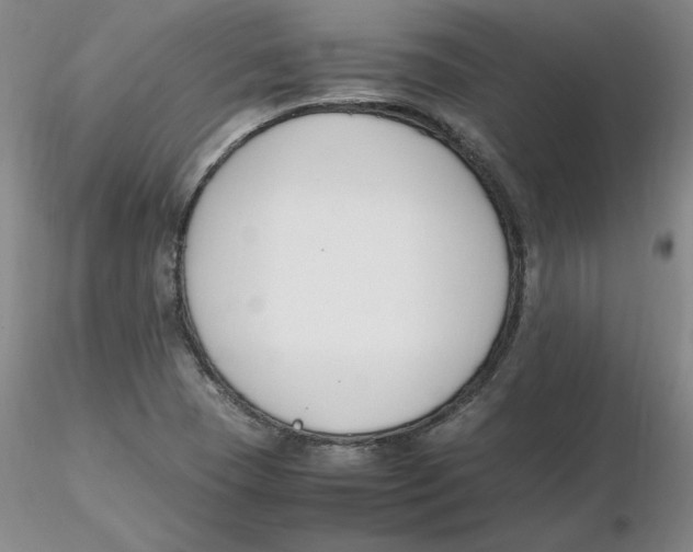 X0000116271409200912211748