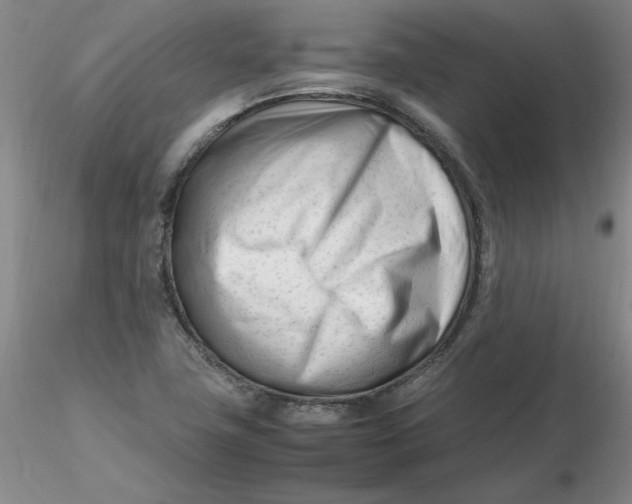 X0000116271411200912211748