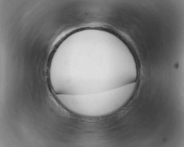 X0000116271412200912211748