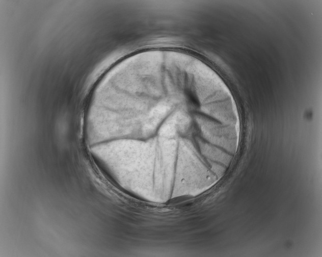 X0000116271413200912211748