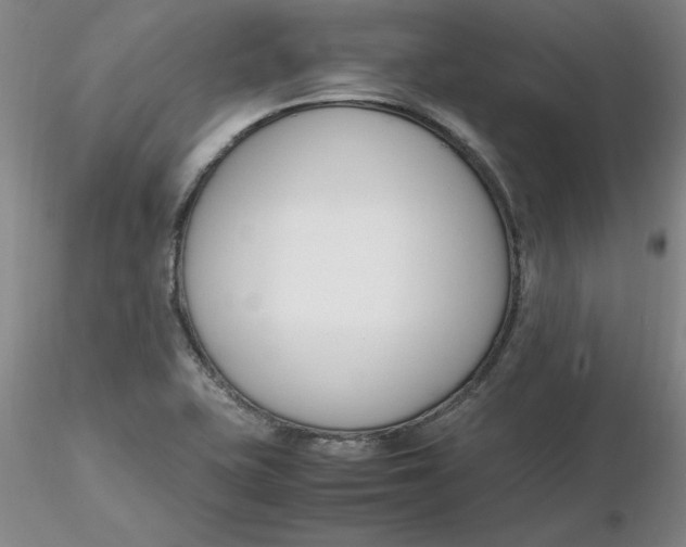 X0000116271415200912211748