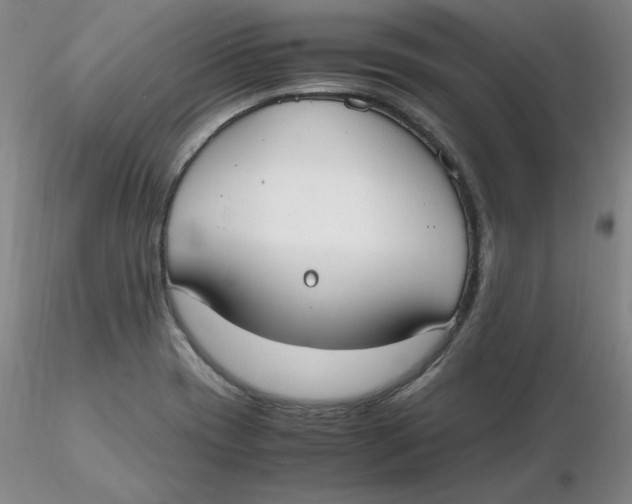 X0000116271417200912211748
