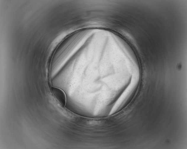X0000116271419200912211748