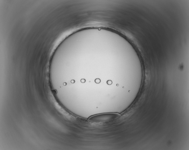 X0000116271421200912211748
