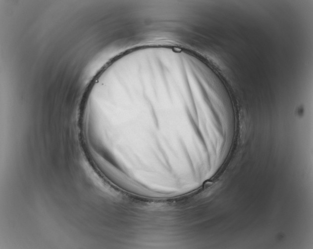 X0000116271422200912211748