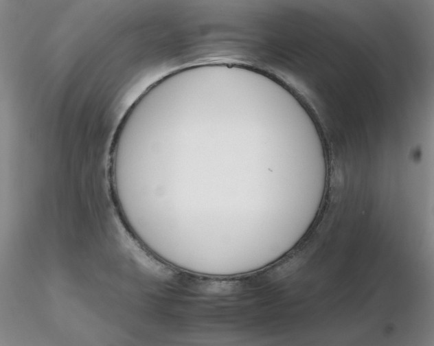 X0000116271423200912211748