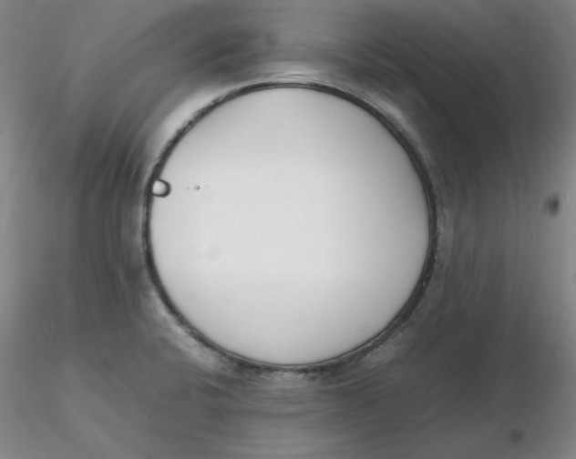 X0000116271424200912211748