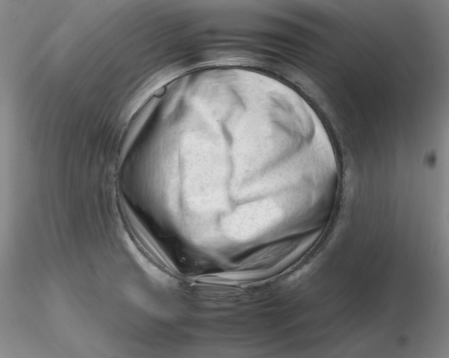 X0000116271425200912211748