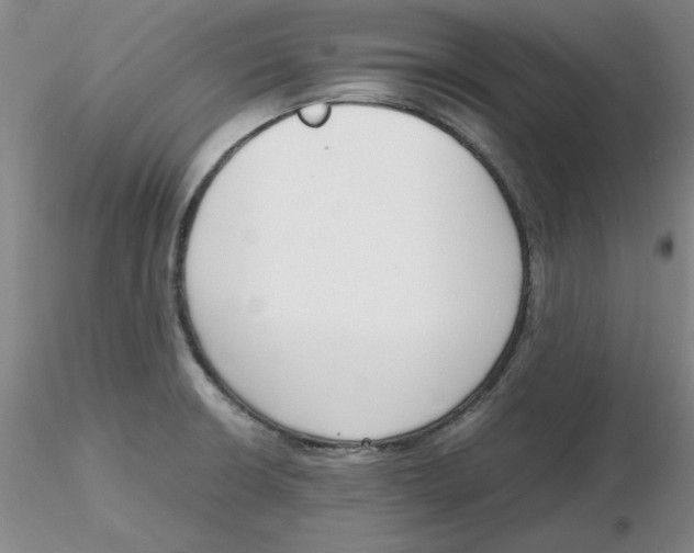 X0000116271426200912211748