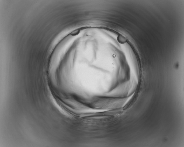 X0000116271429200912211748
