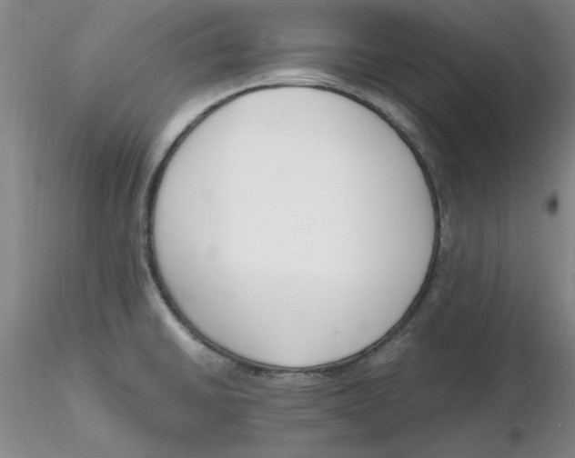 X0000116271430200912211748